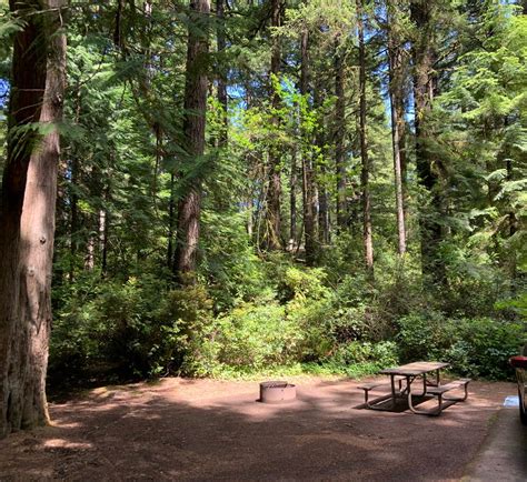 campgrounds near florence oregon|TOP 10 BEST Campgrounds near Florence, OR